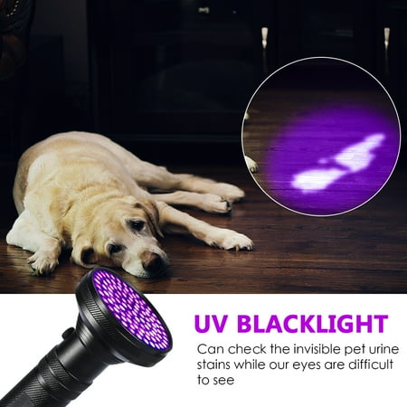 UV Ultra Violet DEL Lampe de poche Blacklight Pet Tache Urine Détecteur avec lunettes